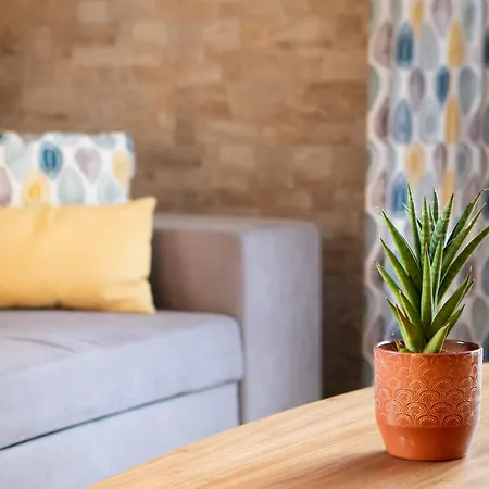 Climatise, 4 Parentales Et Grande Terrasse Apartament Rouffach
