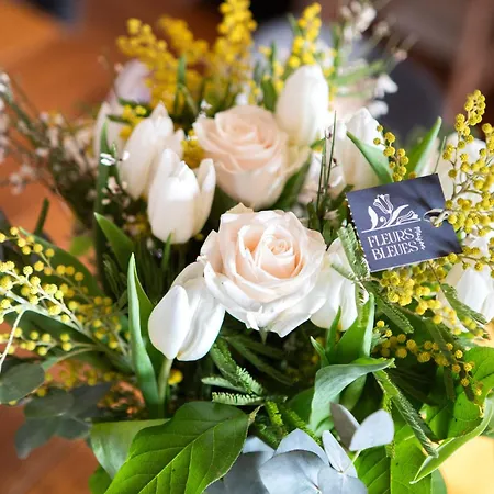 Appartement 12 Personnes 4 Suite Privatives 160 M2 Terrasse Rouffach