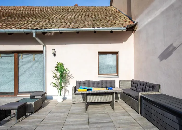 12 Personnes 4 Privatives 160 M2 Terrasse Rouffach